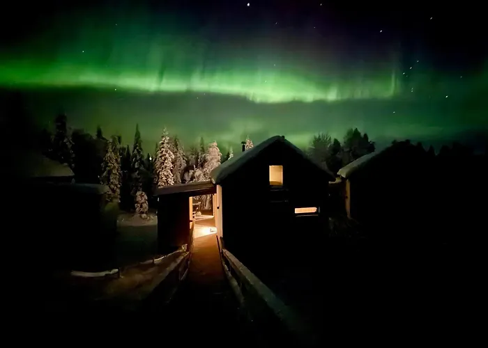 North Cosmos 20d By Hilla