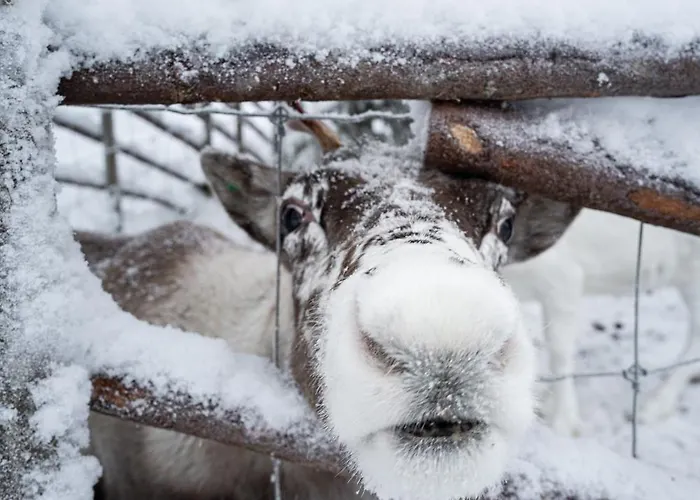 North Cosmos 20d By Hilla Appartement *